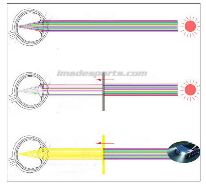เลนส์บังแดด Daytime Daylight