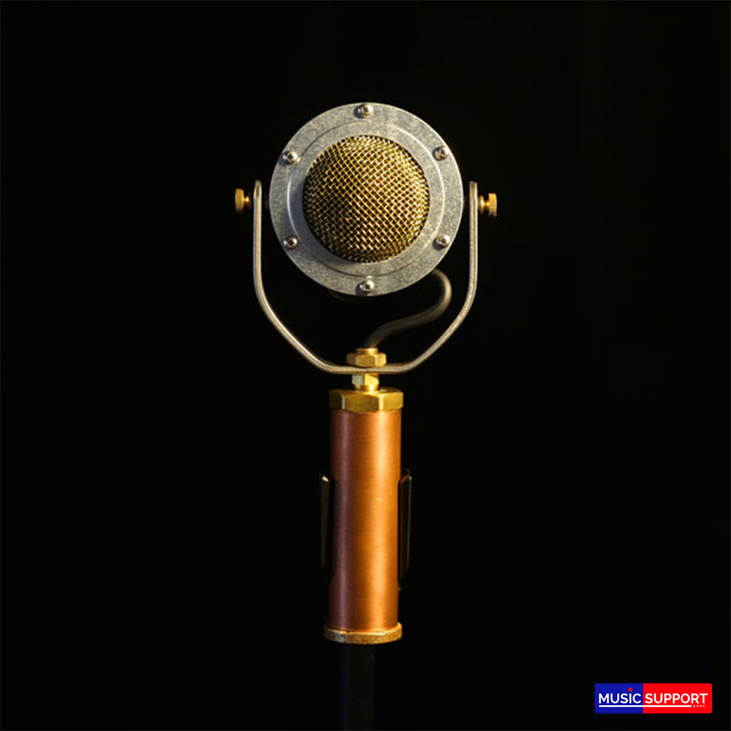 Ear Trumpet Labs EDWINA Condenser Microphone