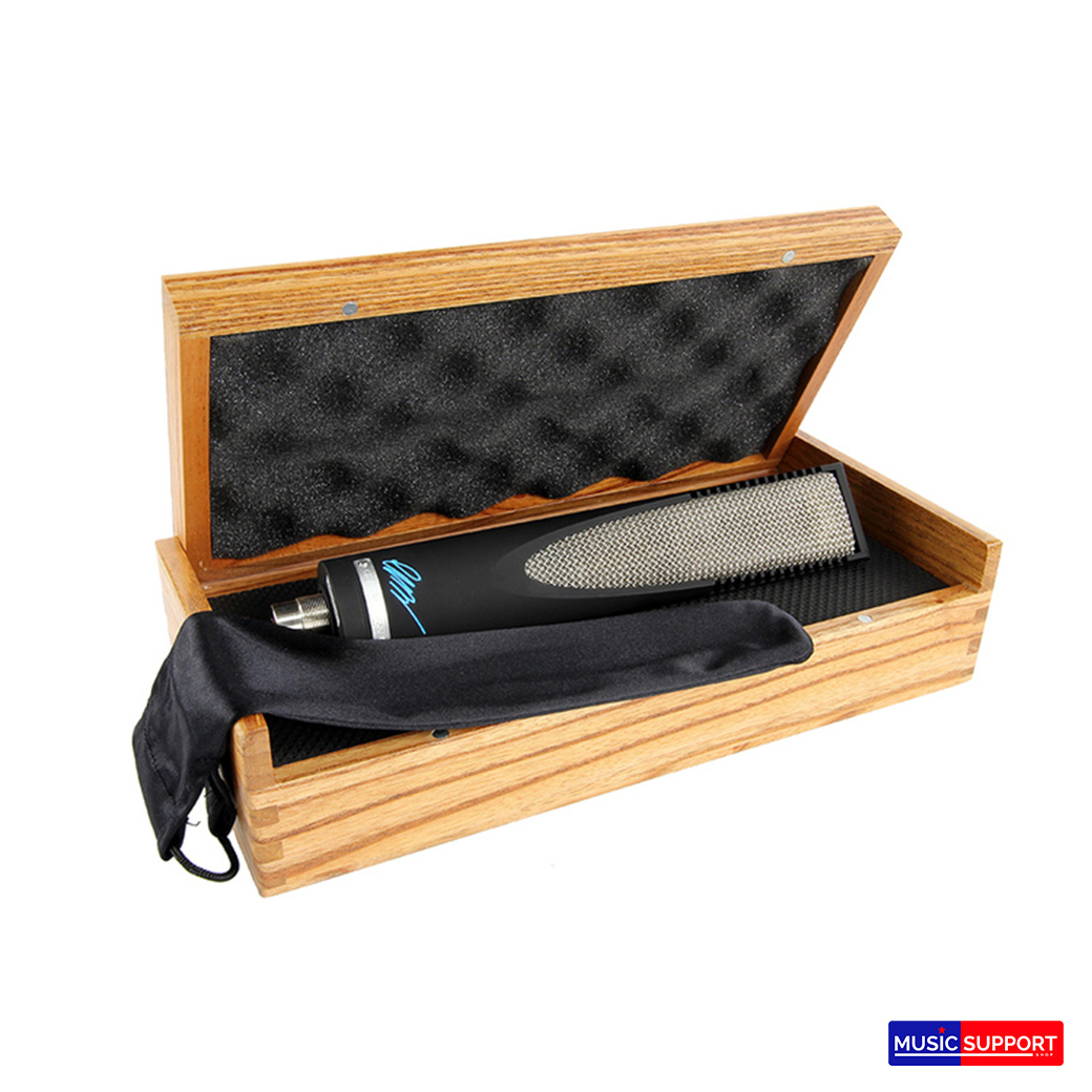 sE Electronics : RNR1