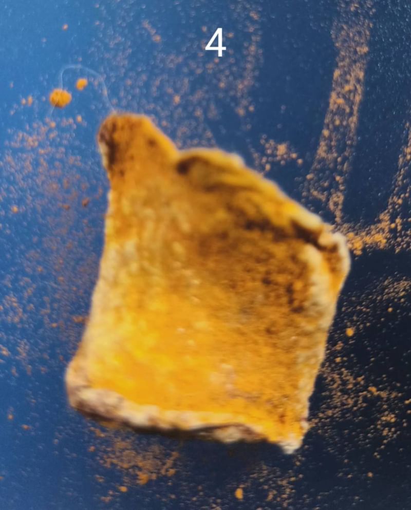 รกแมว เครื่องรางของขลังจากธรรมชาติ