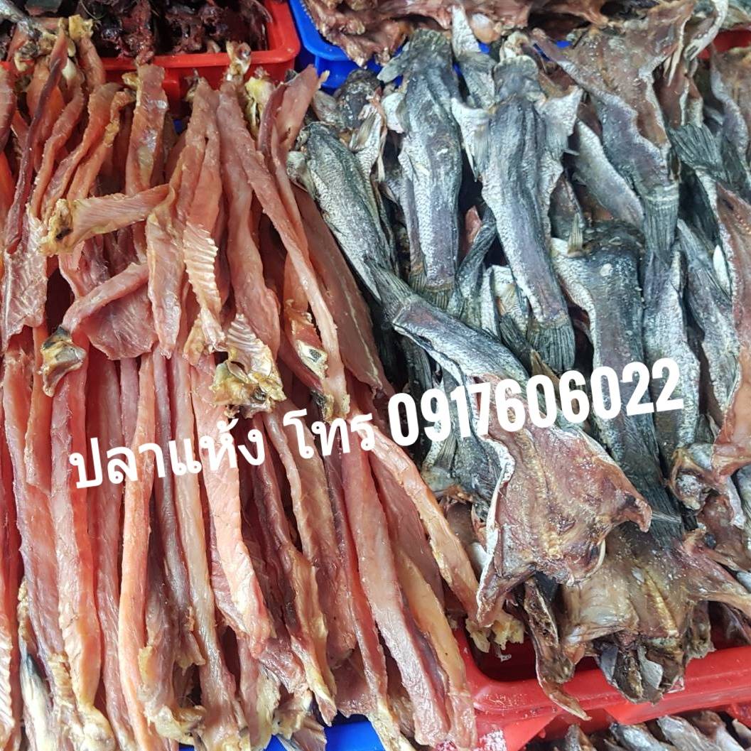 ปลาแห้ง ปลาช่อนแดดเดียว ปลาช่อนตากแห้ง ปลาแดดเดียว ปลาพม่า ปลาช่อนพม่า ปลาพม่าตากแห้ง ปลาตากแห้ง