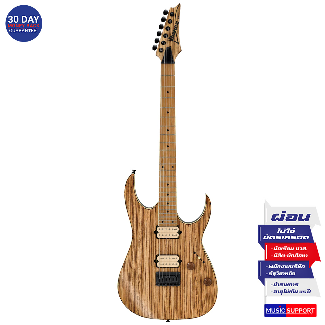 กีตาร์ไฟฟ้า IBANEZ RGEW521MZW