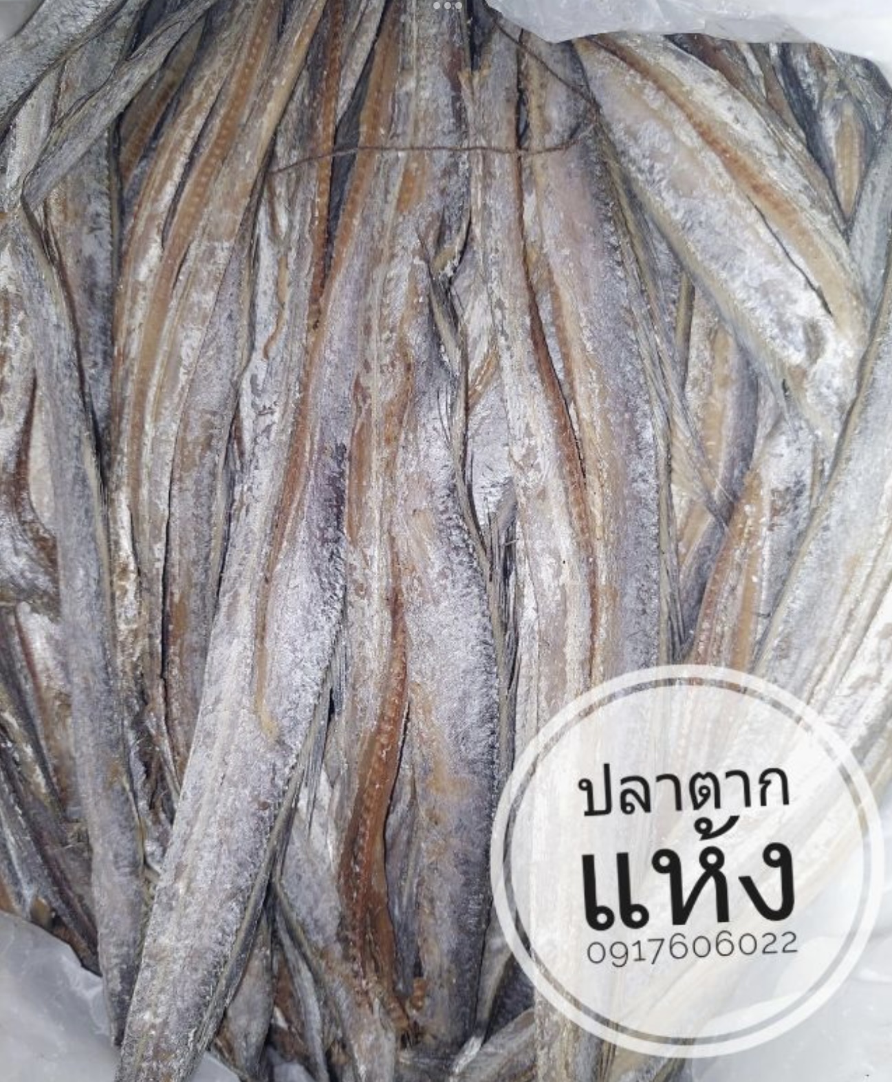 ปลาแห้ง ปลาช่อนแดดเดียว ปลาช่อนตากแห้ง ปลาแดดเดียว ปลาพม่า ปลาช่อนพม่า ปลาพม่าตากแห้ง ปลาตากแห้ง ปลาหัวยุ่ง ปลาทู ขายส่งปลาแห้ง