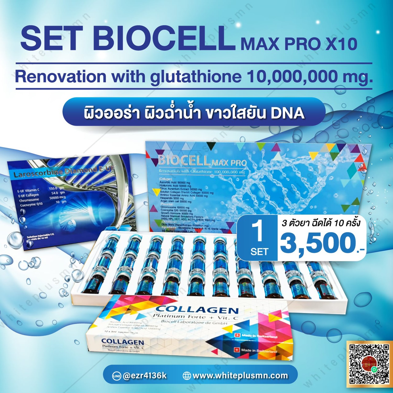 set biocell max pro x 10