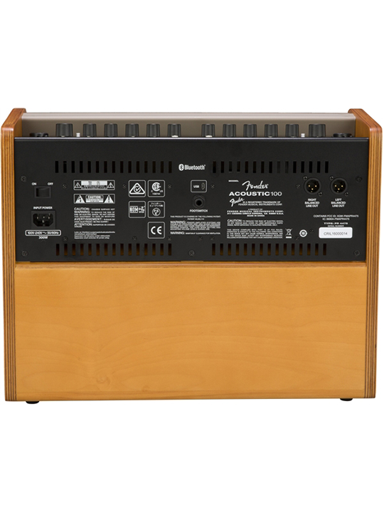 Fender Acoustic 100