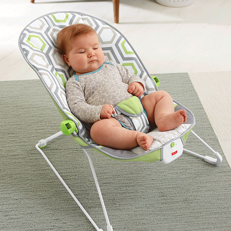 Fisher Price Baby s Bouncer Geo Meadow เปลโยกมีระบบสั่น