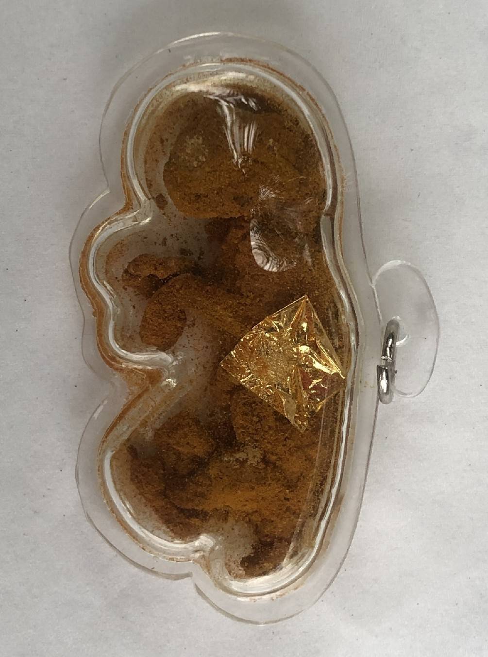 รกแมว ลูกกรอกแมว เครื่องรางของขลังด้านโชคลาภ