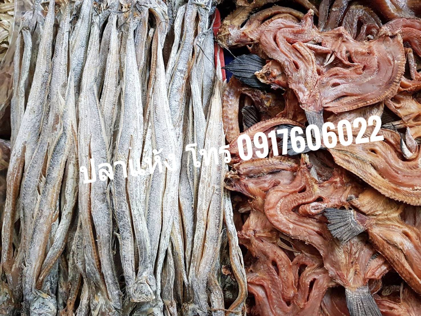 ปลาแห้ง ปลาช่อนแดดเดียว ปลาช่อนตากแห้ง ปลาแดดเดียว ปลาพม่า ปลาช่อนพม่า ปลาพม่าตากแห้ง ปลาตากแห้ง