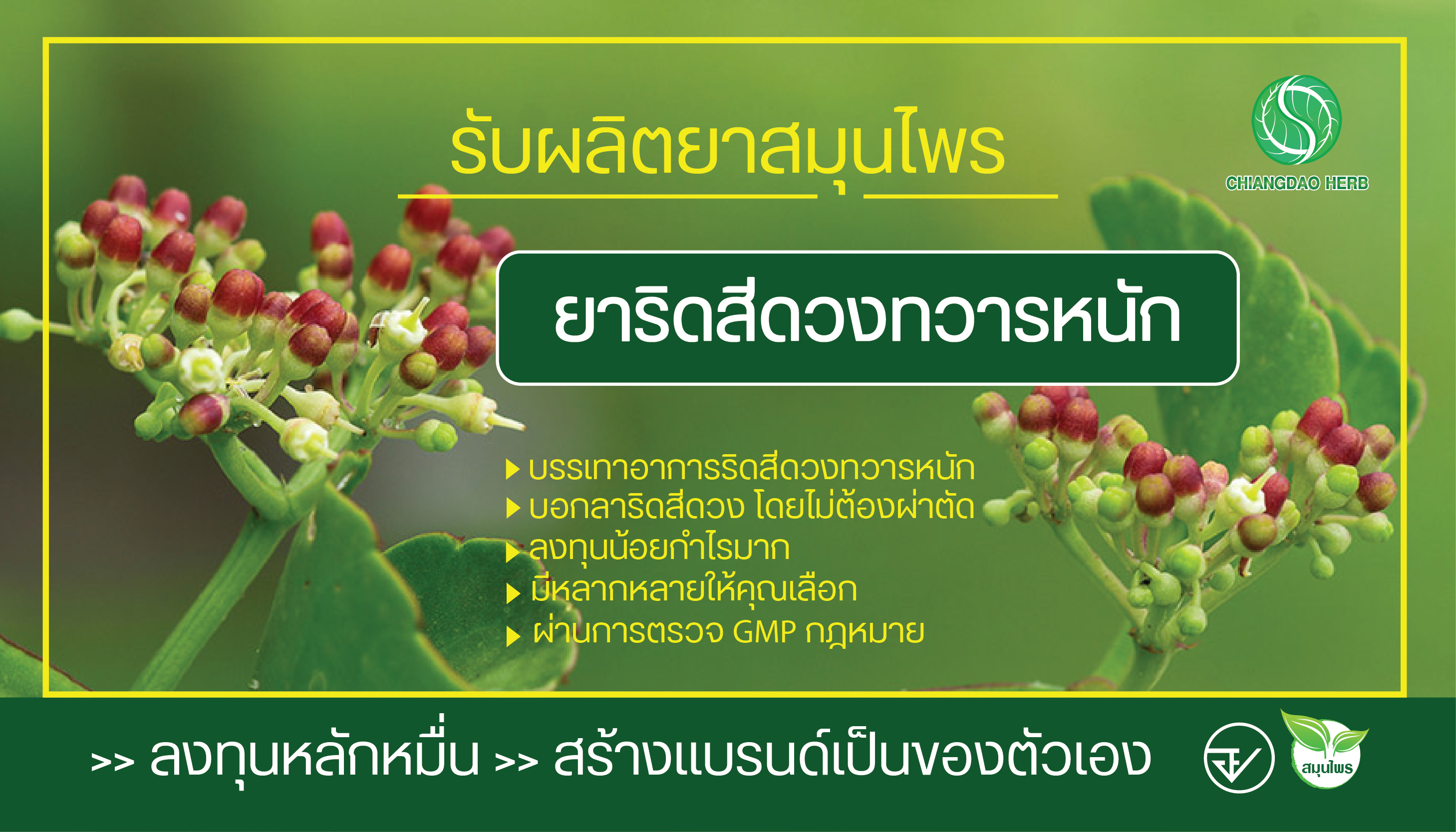 รับผลิตยาริดสีดวงทวาร รับผลิตยาริดสีดวงทวาร