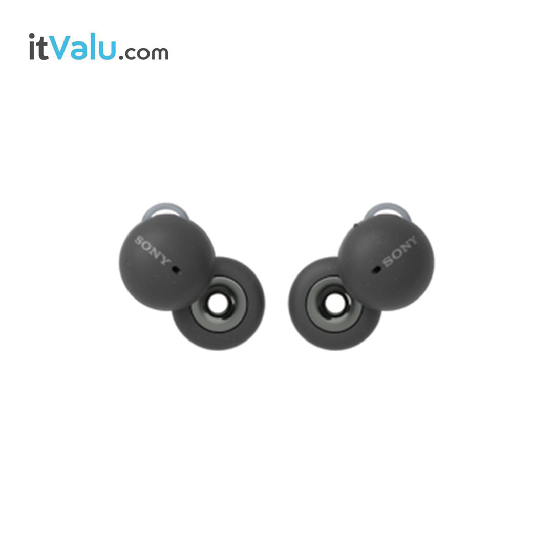 Link Buds : WF-L900