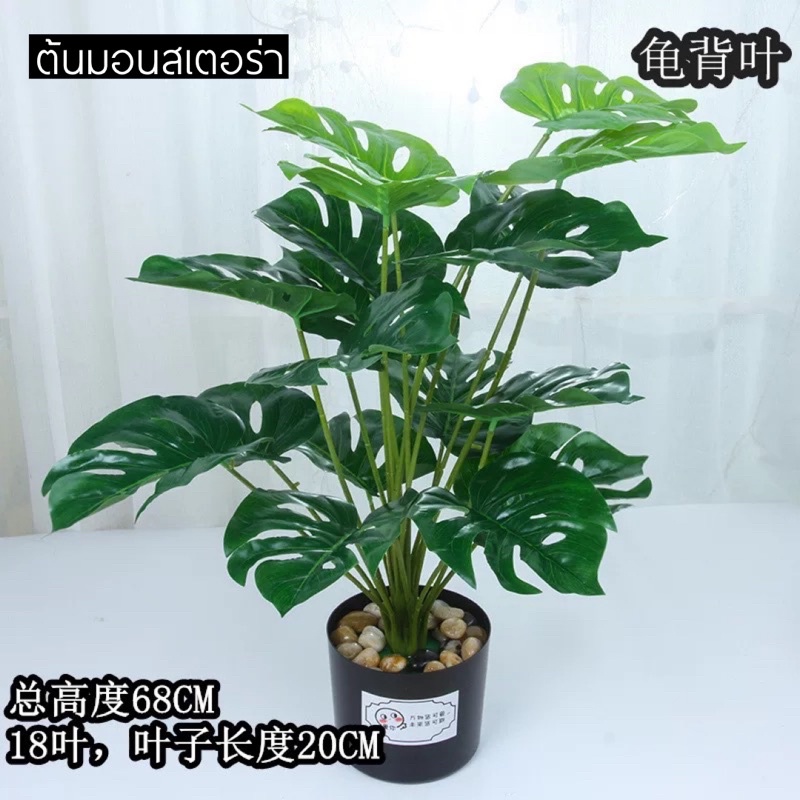 TS061J010 TROPACL ต้นไม้ปลอม ต้นไม้ประดับ ต้นไม้แต่งห้อง แถมกระถางดำ ARTIFICIAL PLANT ต้นซานาดู ต้นกวนอิม ต้นมอนสเตอร่า