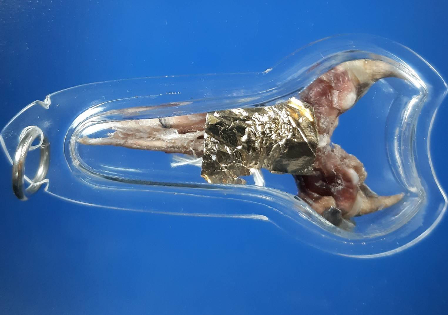 เดือยงูเหลือม เครื่องรางอาถรรพ์ ด้านโชคลาภ ทำมาหากิน และเสี่ยงโชค ลาภลอย ของแท้ครับ (โทรสอบถามครับ)