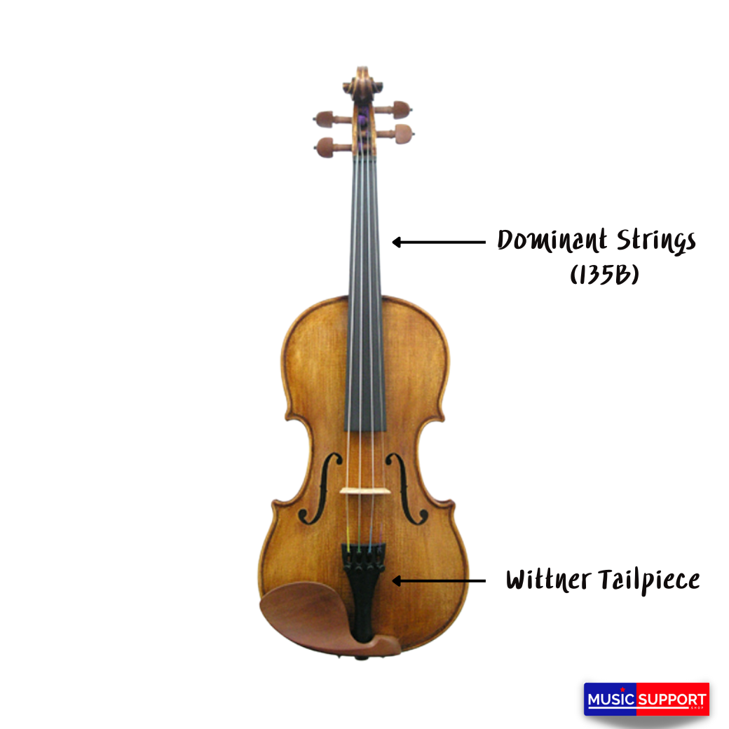 Synwin Handmade Violin Outfit SV4001S