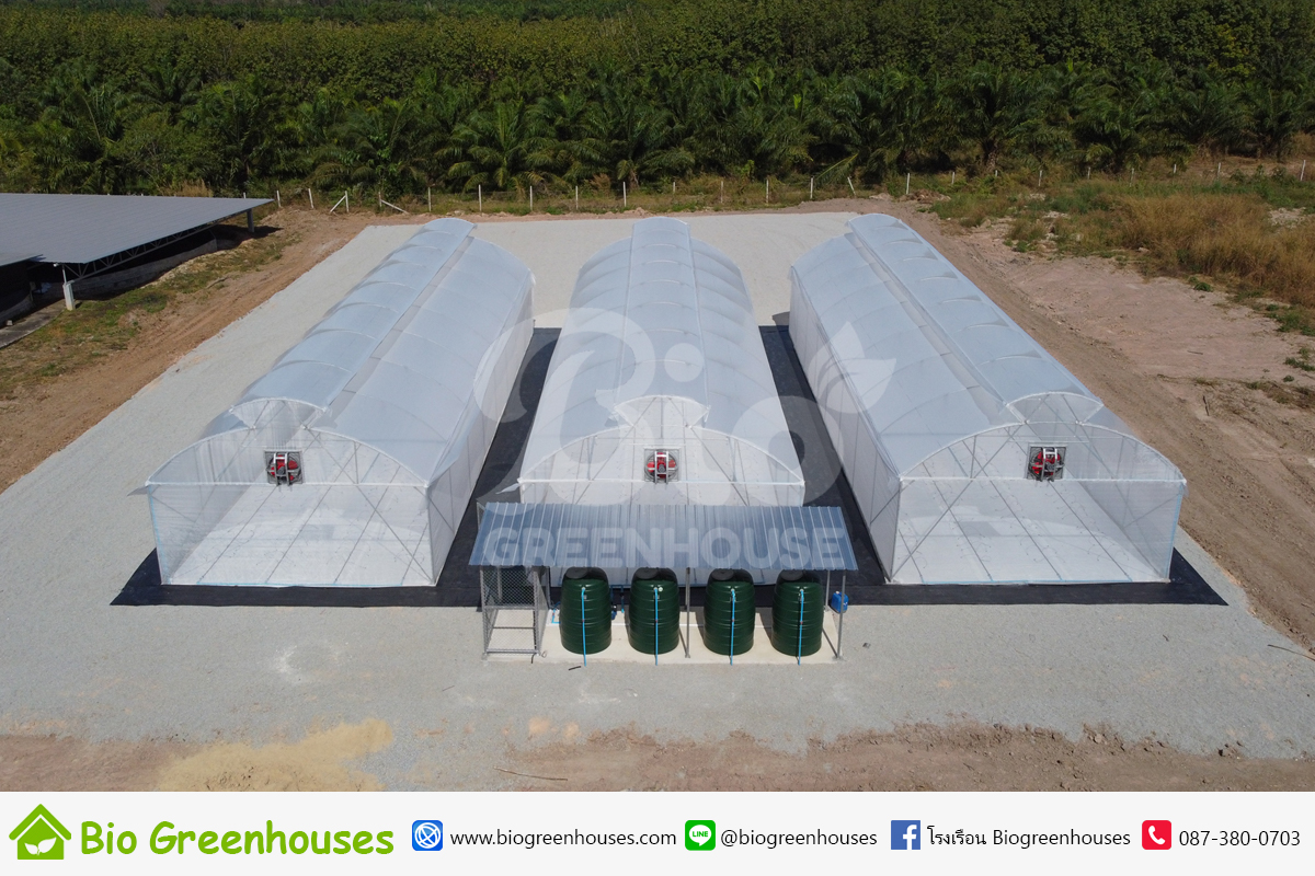 โรงเรือนจั่วโค้ง2ชั้น ขนาด6x20ม. จำนวน3หลัง จ.ฉะเชิงเทรา