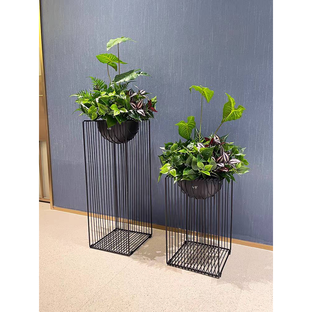 CT182D079 TROPACL กระถางต้นไม้ กระถางต้นไม้หรู กระถางต้นไม้สีทอง ต้นไม้ปลอม