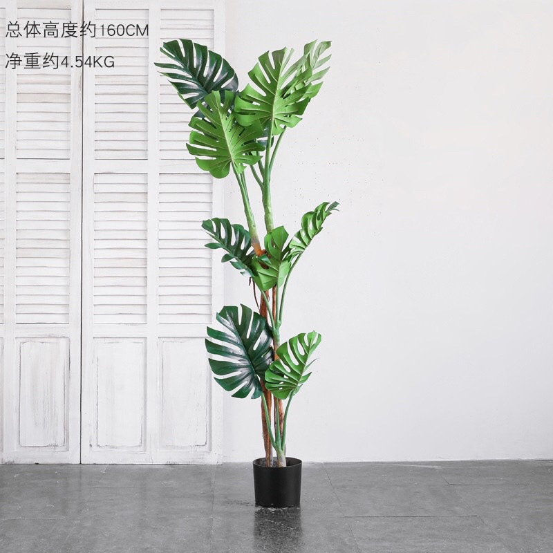 TS061J018 TROPACL ต้นไม้ปลอมตกแต่งบ้าน ต้นมอนสเตอร่า 160ซม. ARTIFICIAL PLANT ต้นไม้ปลอม ต้นไม้แต่งห้อง ต้นไม้ทรงสูง