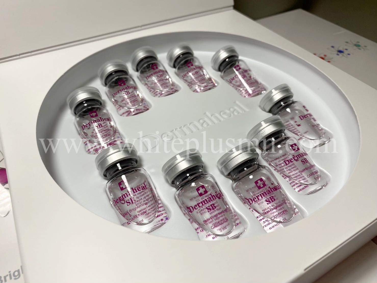 Dermaheal SB (Skin Brightening, Anti-Pigmentation Effect)