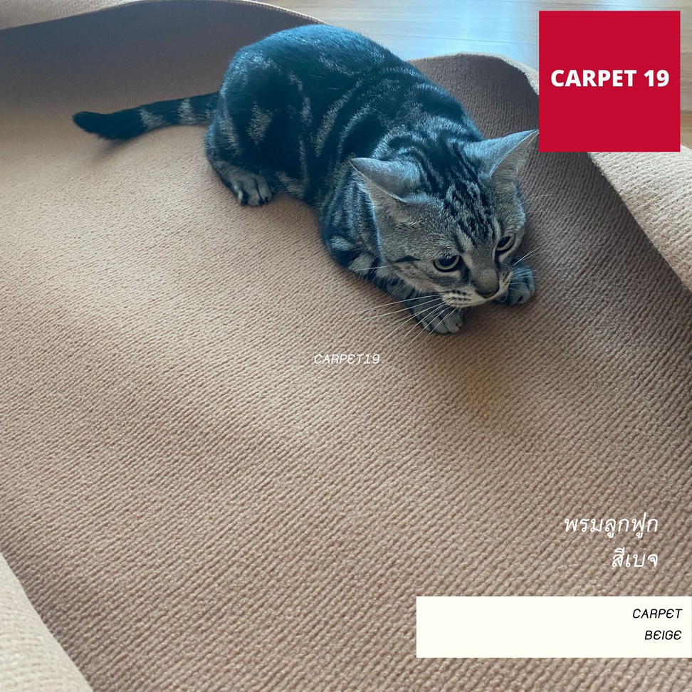 ราคายกม้วน!! CARPET19 พรมลูกฟูก สีเบจ กว้าง 2 เมตร ยาว 25 เมตร หนา 5 มม.