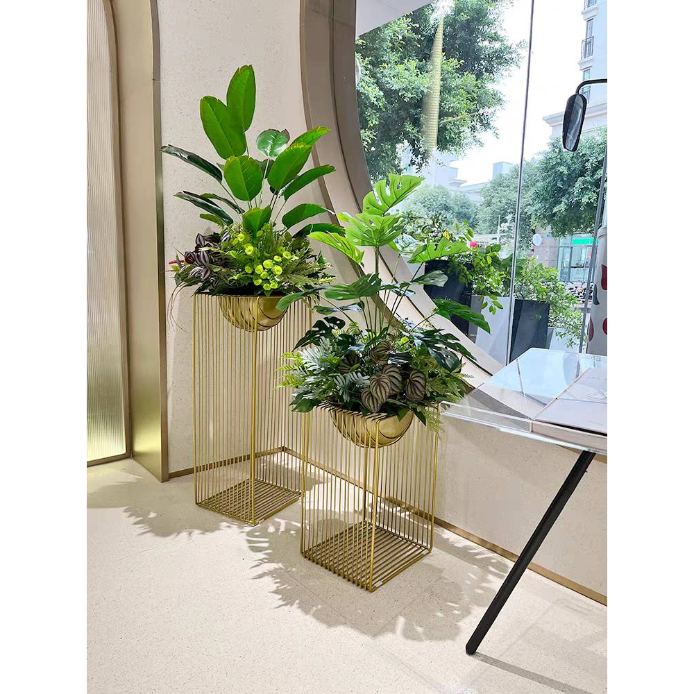 CT182D079 TROPACL กระถางต้นไม้ กระถางต้นไม้หรู กระถางต้นไม้สีทอง ต้นไม้ปลอม