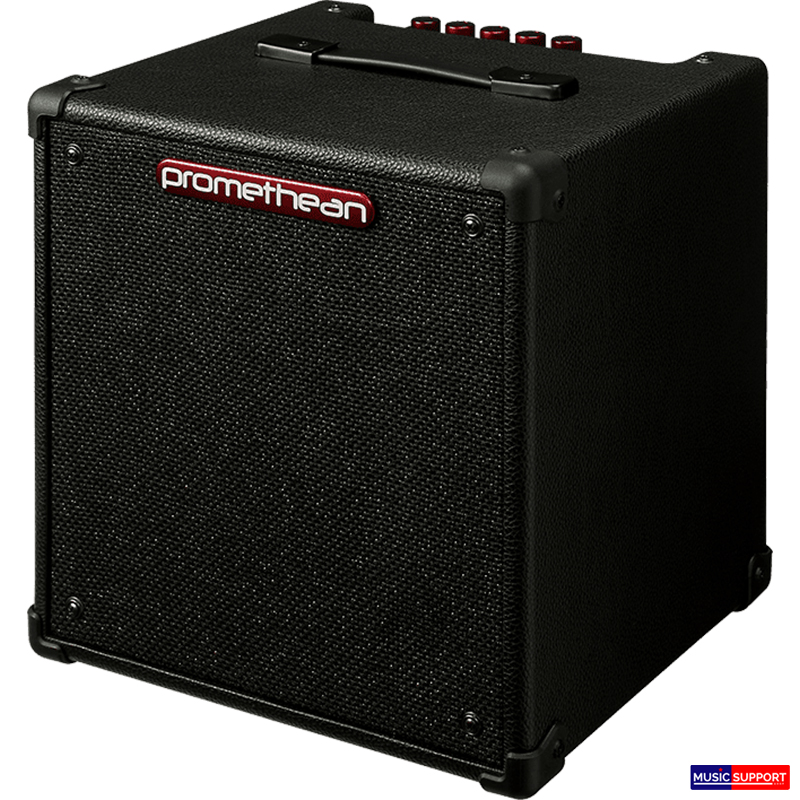 Ibanez P20 Bass Combo Amplifier