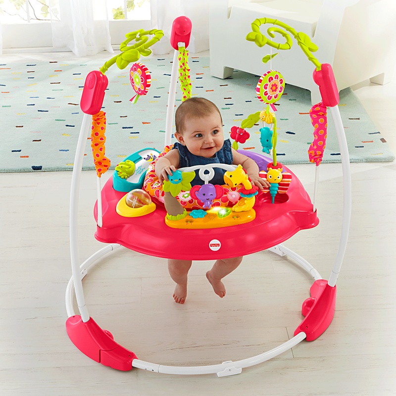 Fisher Price Pink Petals Jumperoo จั๊มเปอร์ของเล่นกระโดด *** กล่องไม่สวย ***