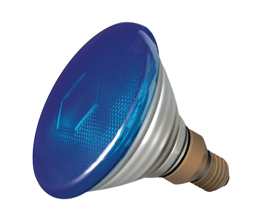 PAR38 120w Blue E27