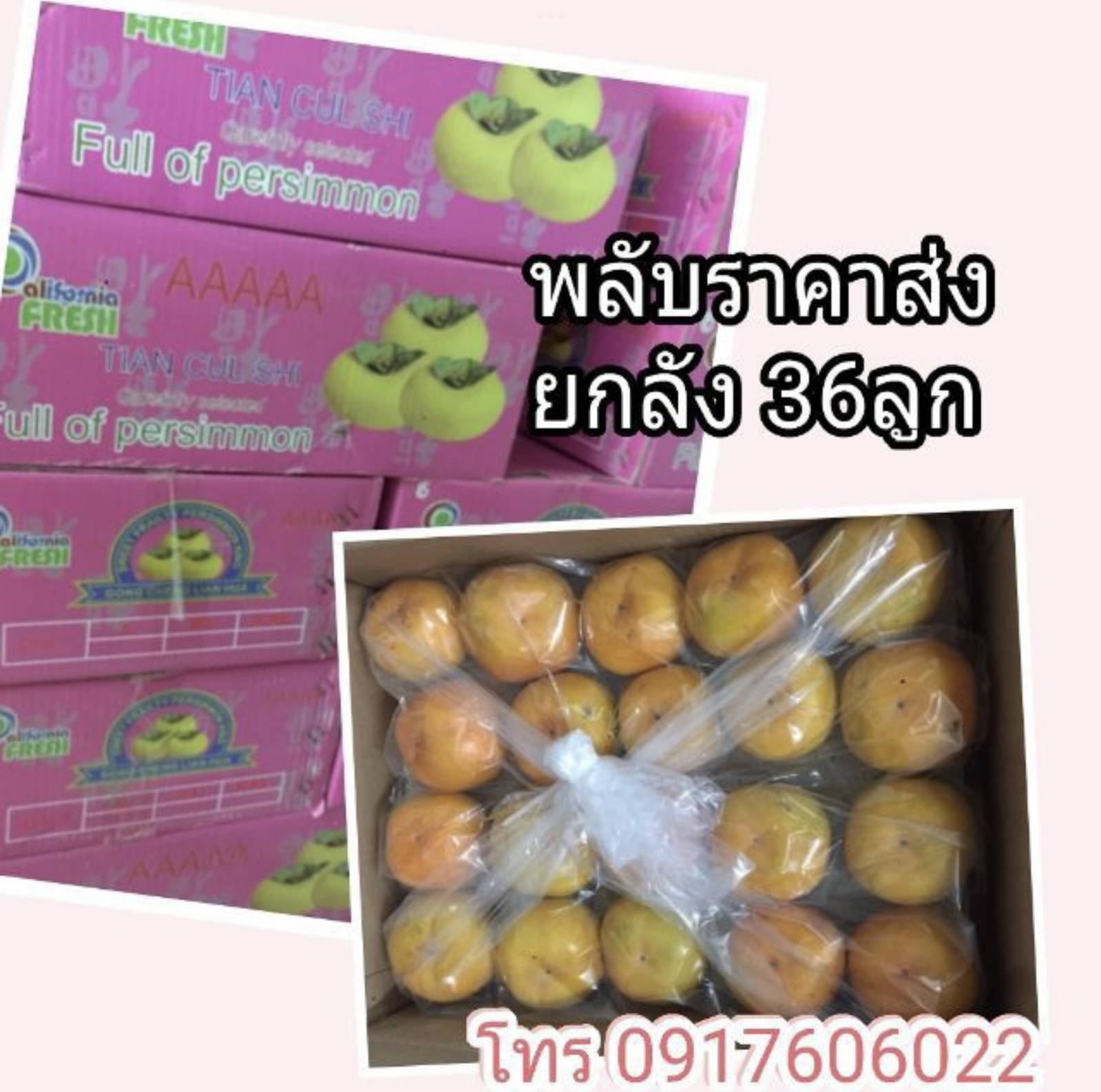 พลับเกาหลี พลับญี่ปุ่น พลับแห้ง ลูกพลับ ลูกพลับสด พลับสด ลูกพลับเกาหลี พลับราคาส่ง ขายส่งลูกพลับ พลับอร่อย
