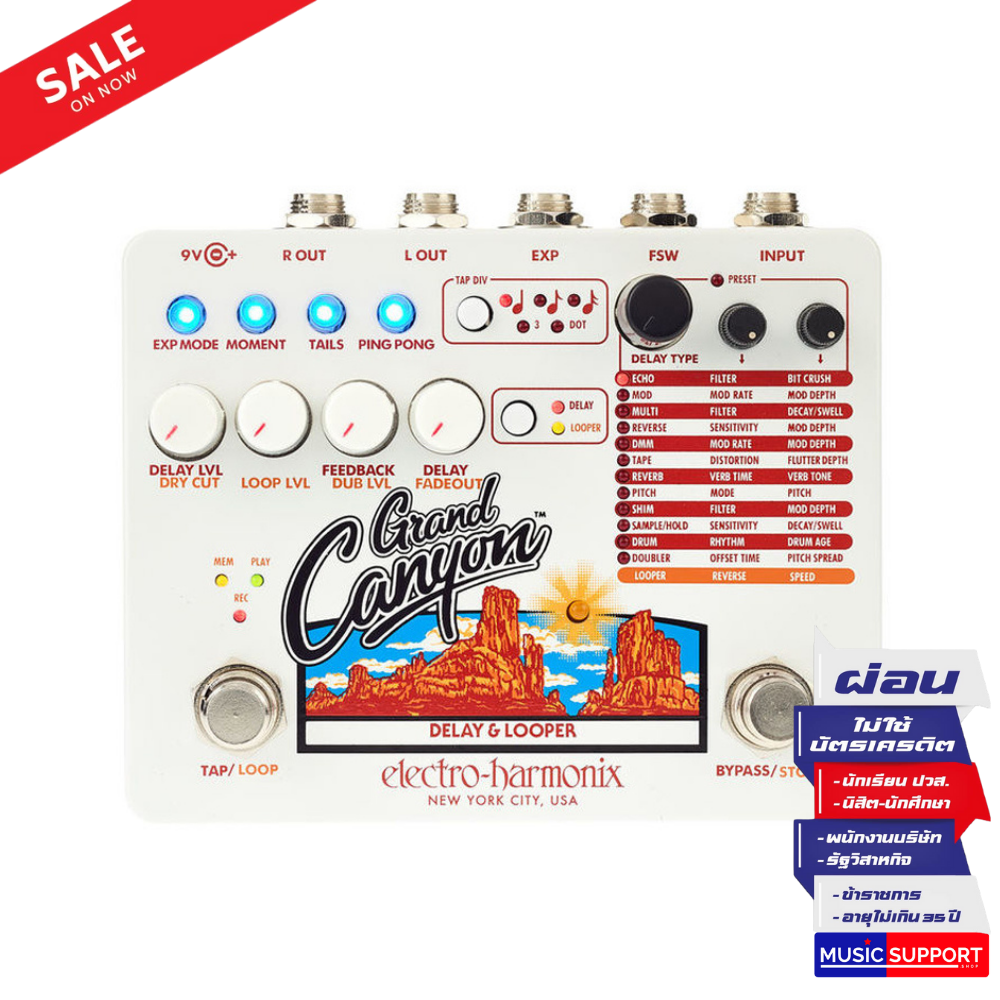 Electro-Harmonix Grand Canyon Delay & Looper