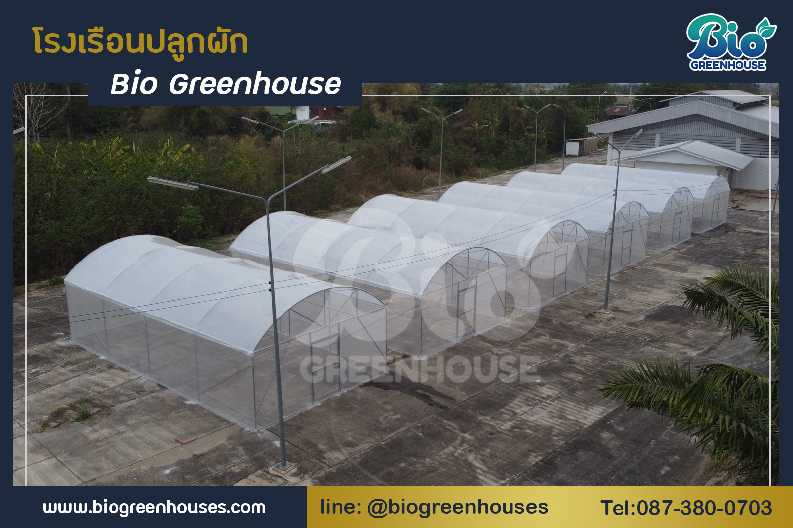 โรงเรือนจั่วโค้ง 6x12x3.8 ม. 6 หลัง จ.เพชรบูรณ์