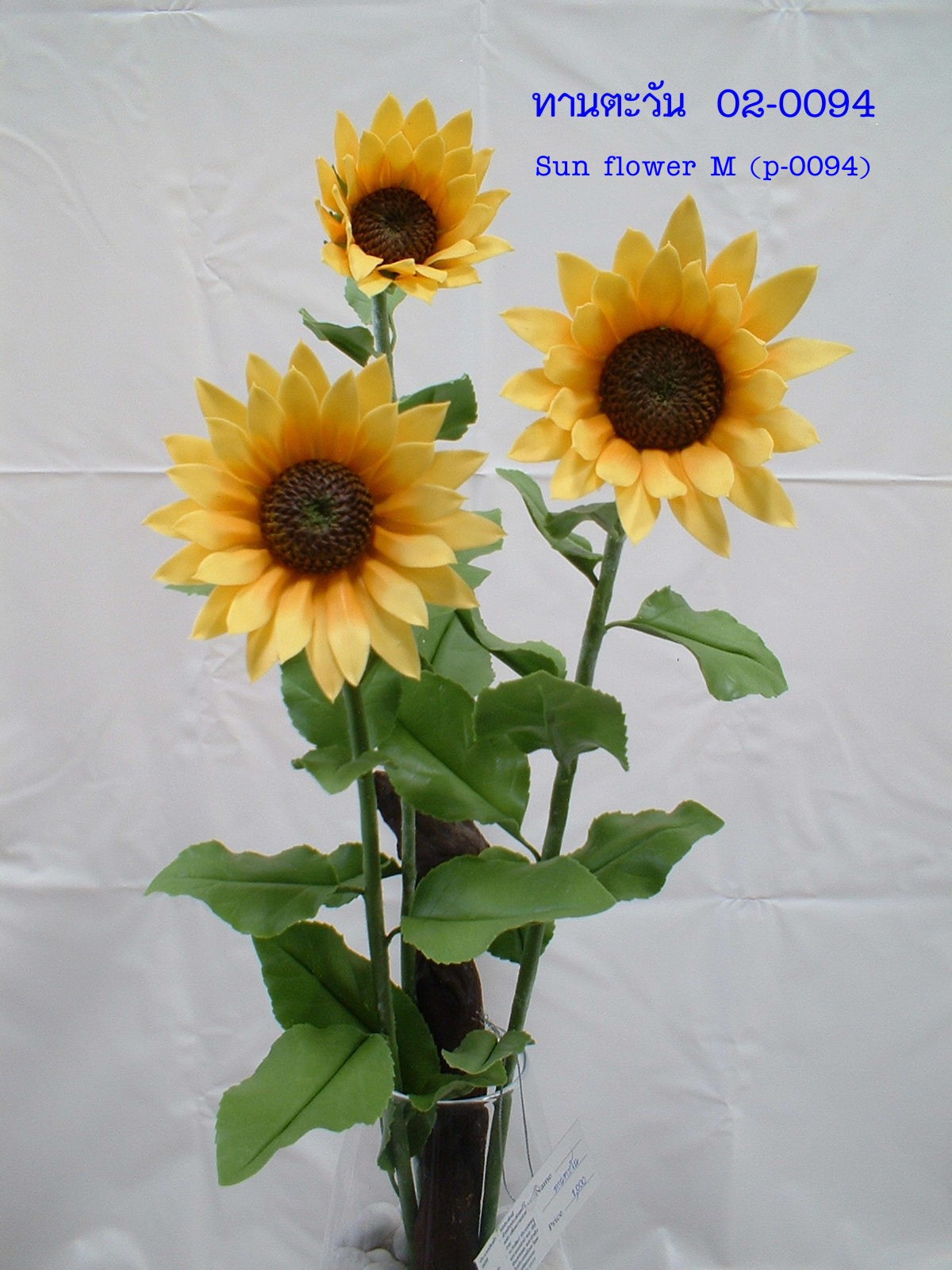 Sun Flower (Medium)
