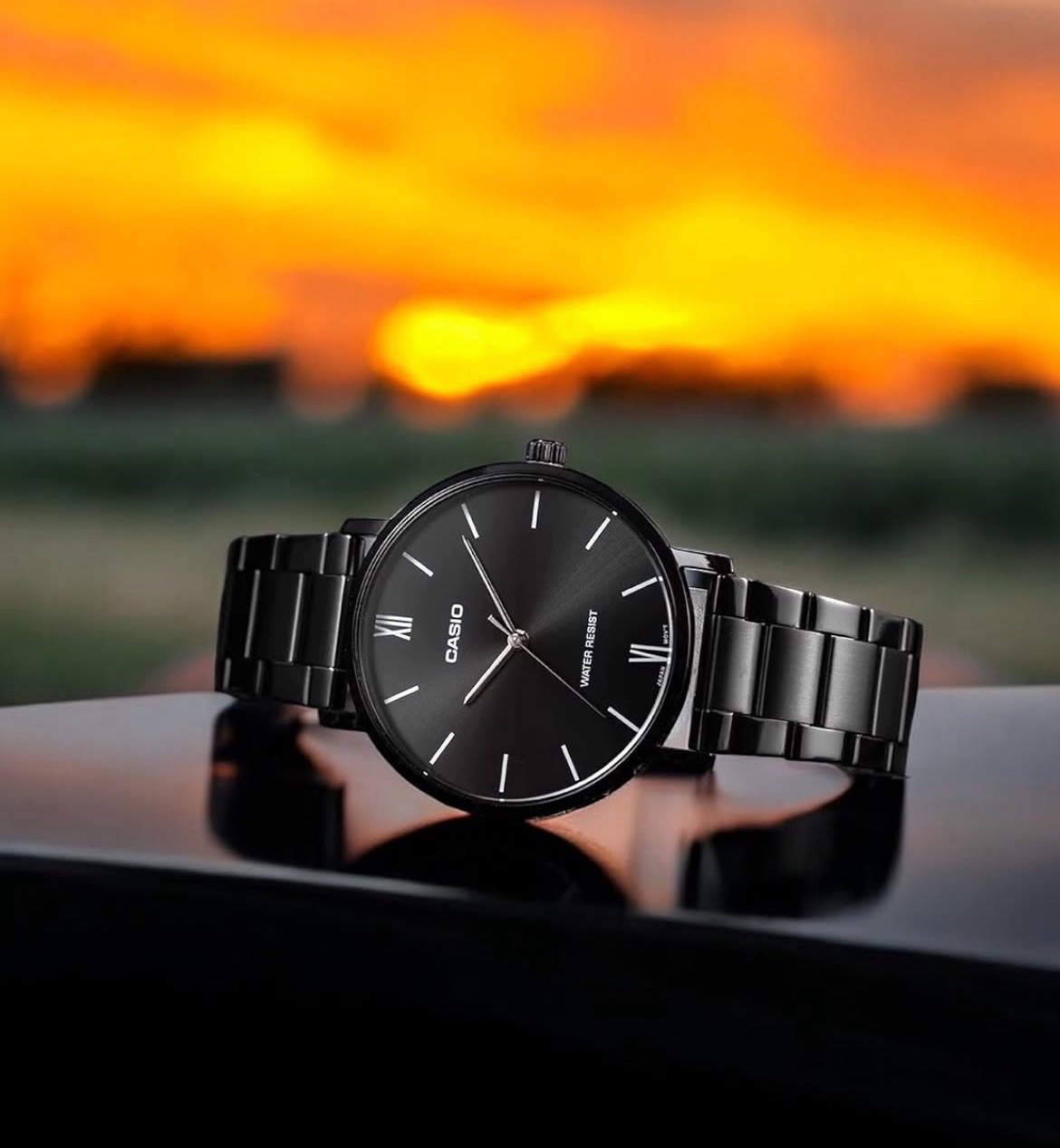 Casio PVD Black Steel Round Dial with Roman Numbers