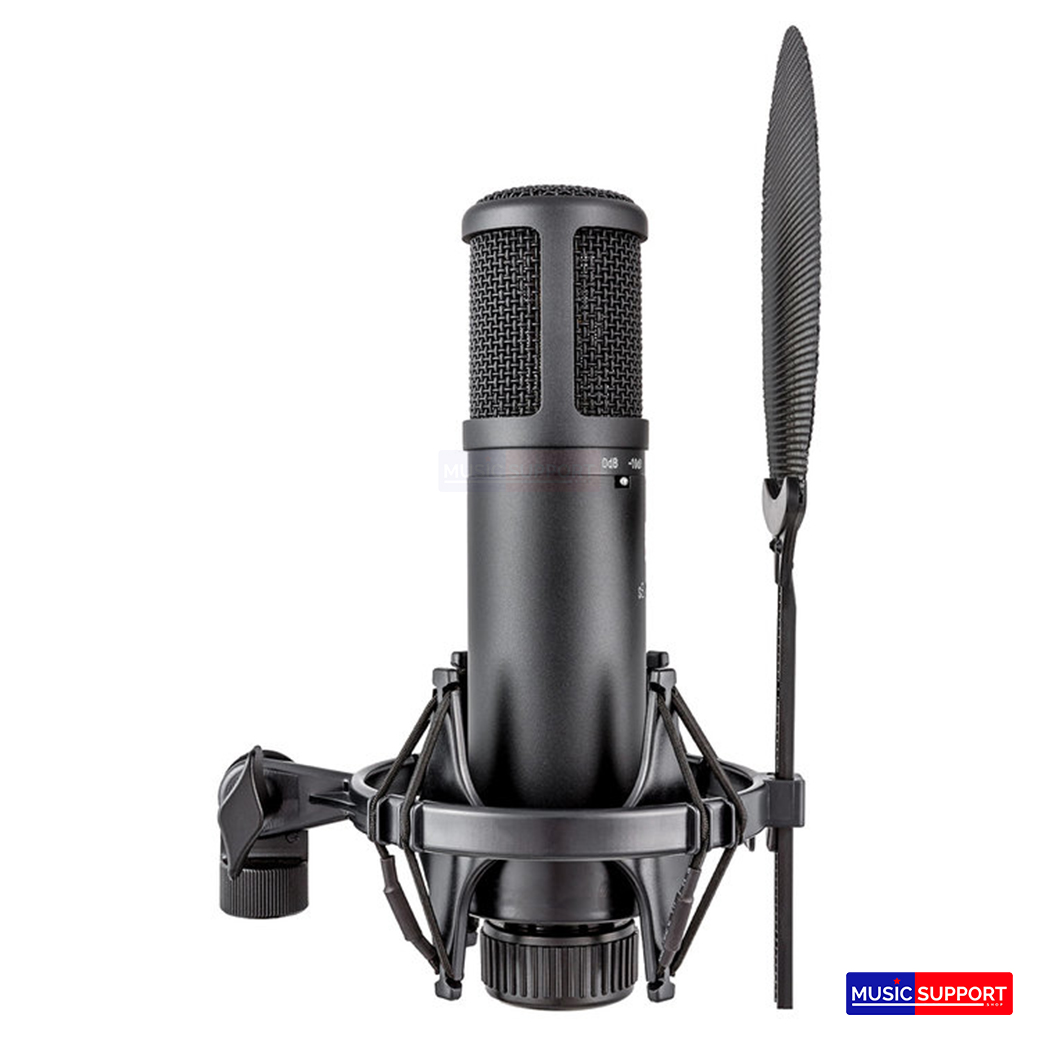 sE Electronics : sE2200