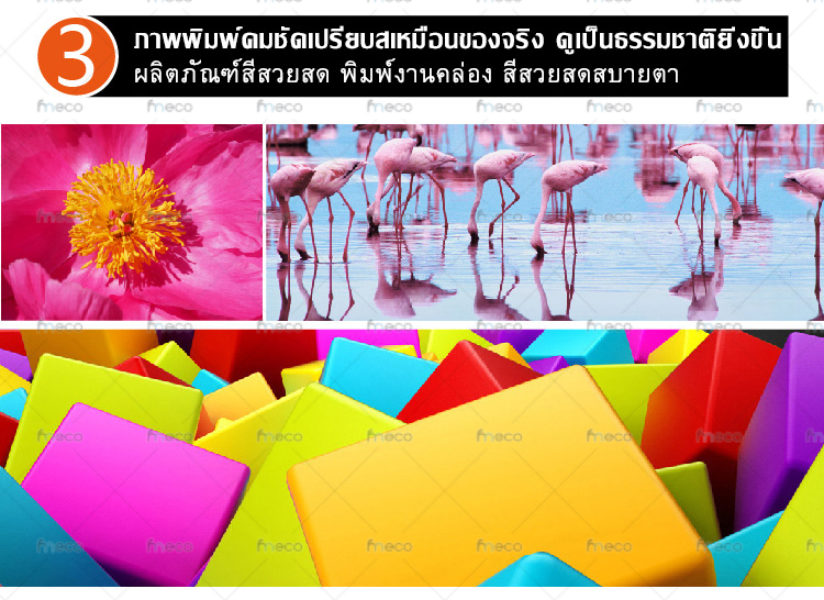 หมึกพิมพ์ i3200 เกรด 2ปี Premium Eco Solvent Odorless Pigment Ink ไร้กลิ่น สีสด เข้มข้นสูง dx5 dx11 วัตถุดิบจากยุโรป