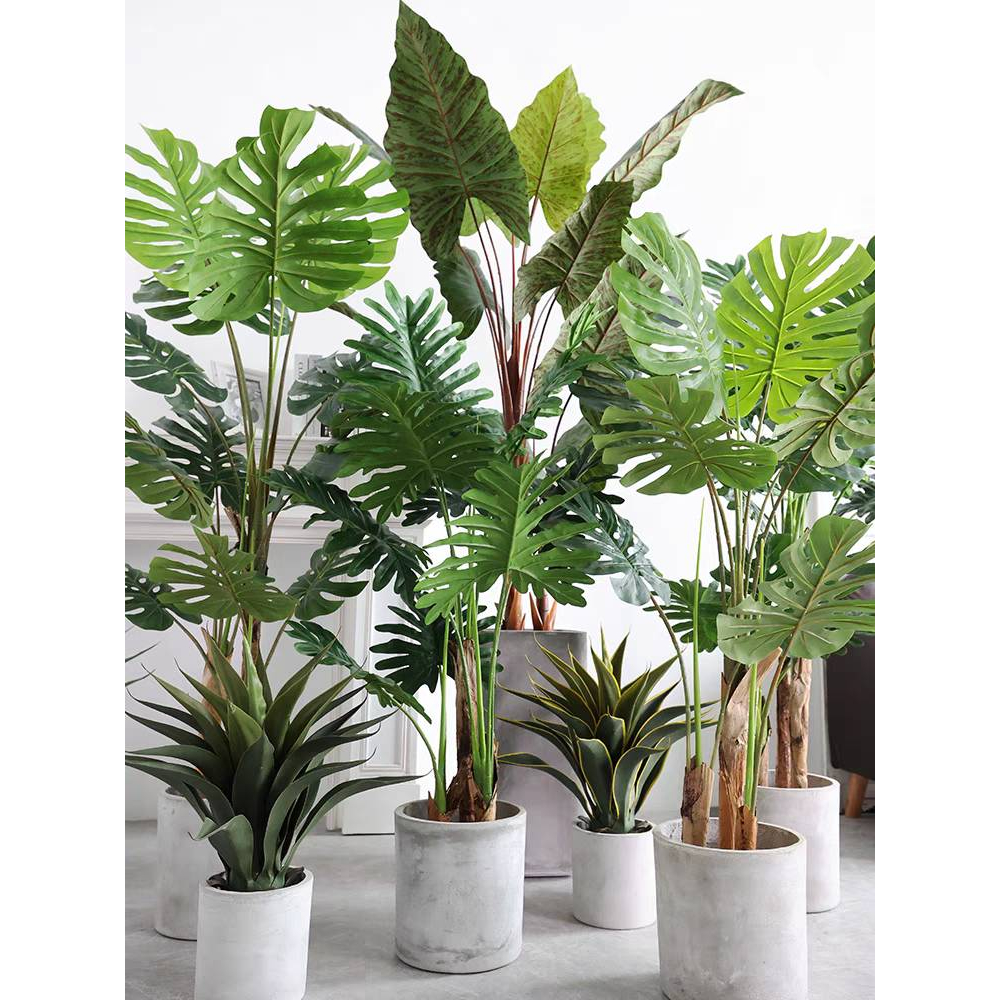 CT183D083 TROPACL ต้นไม้ปลอม ต้นไม้แต่งบ้าน