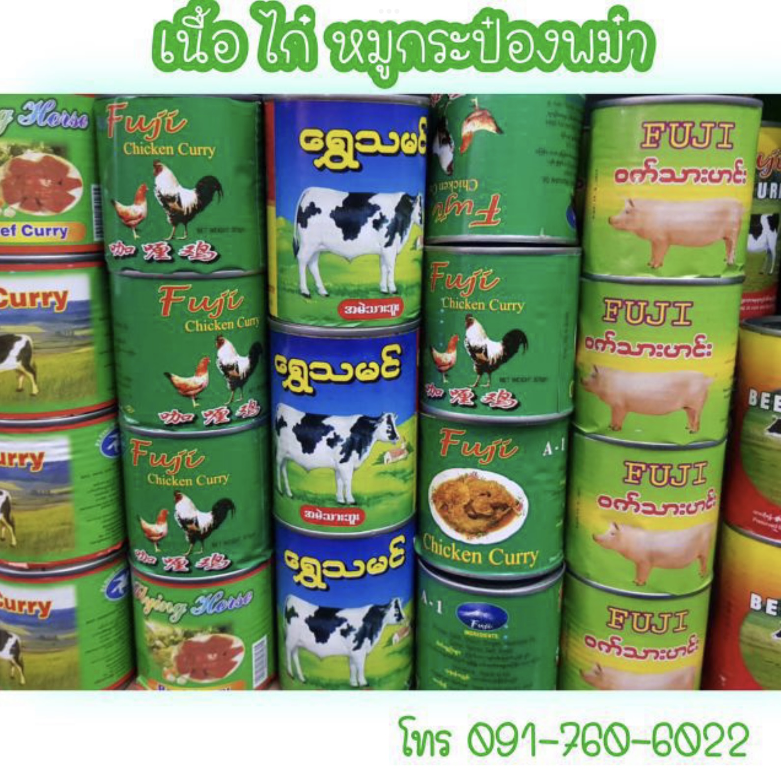 เนื้อกระป๋อง เนื้อวัวกระป๋อง อาหารกระป๋องพม่า เนื้อวัวกระป๋องตรากวางทอง เนื้อกระป๋องรสแกงกะหรี่ เนื้อไก่กระป๋อง เนื้อหมูกระป๋อง ตุ๋นน้ำแดง