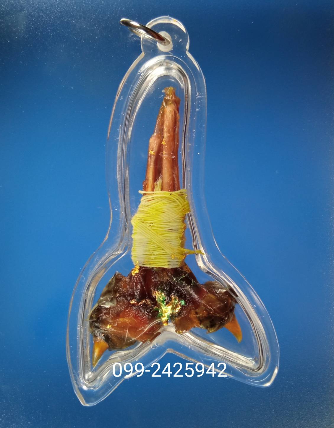 เดือยงูเหลือม เครื่องรางอาถรรพ์ ด้านโชคลาภ ทำมาหากิน และเสี่ยงโชค ลาภลอย ของแท้ต้องแบบนี้ครับ