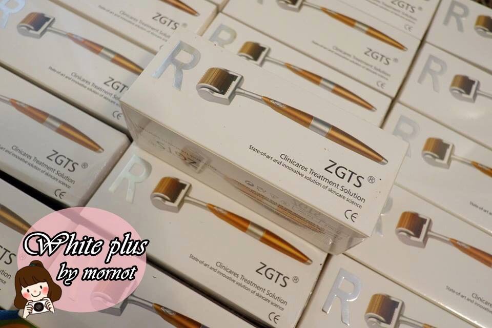ZGTS Titanium Dermaroller