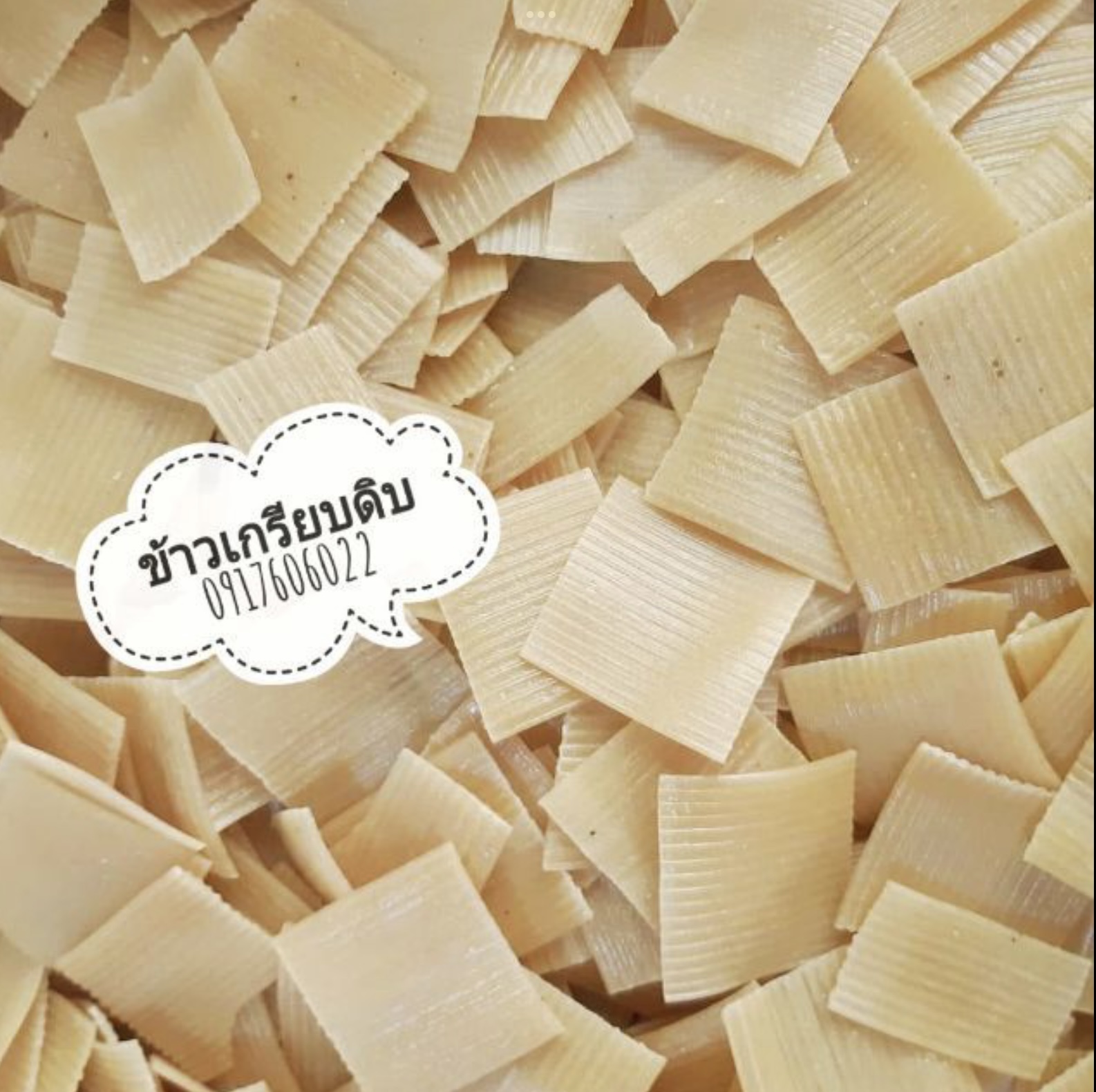 ข้าวเกรียบดิบ ข้าวเกรียบสายรุ้ง ข้าวเกรียบ ข้าวเกรียบพม่า แผ่นข้าวเกรียบ ပါပလာ ข้าวเกรียบหลากสี ข้าวเกรียบแผ่นดิบ ข้าวเกรียบสีรุ้ง ข้าวเกรียบดอกไม้ ข้าวเกรียบหลอด ข้าวเกรียบข้าวแรมฟืน ข้าวเกรียบถั่วลันเตา ขายส่งข้าวเกรียบ