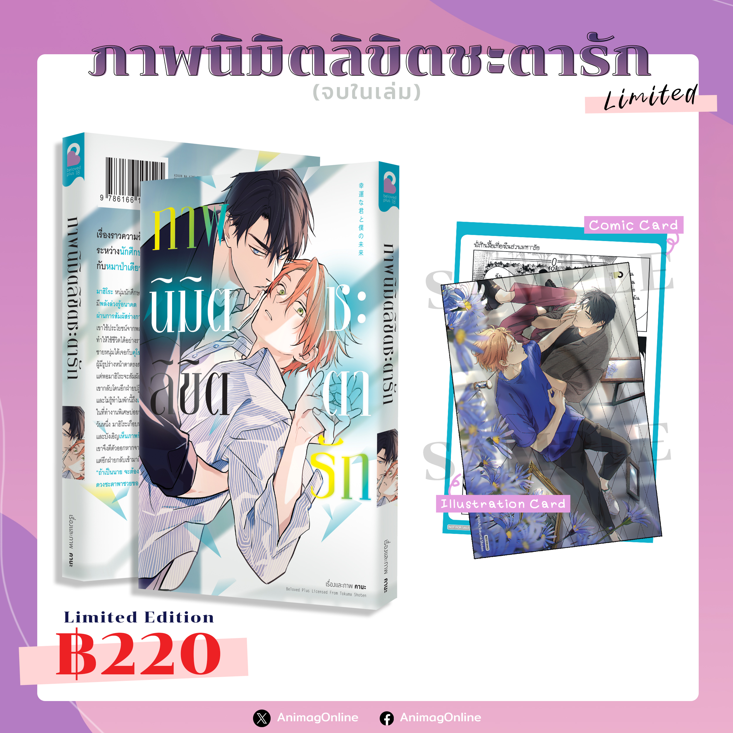 Animag ภาพนิมิตลิขิตชะตารัก COMIC (เล่มเดียวจบ) Limited Edition