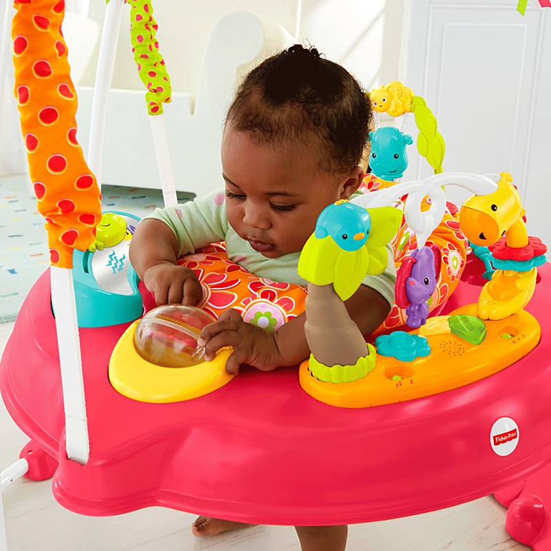 Fisher Price Pink Petals Jumperoo จั๊มเปอร์ของเล่นกระโดด *** กล่องไม่สวย ***
