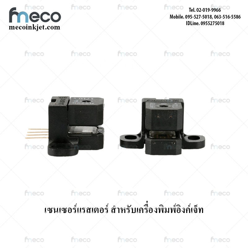 เซ็นเซอร์ แรสเตอร์