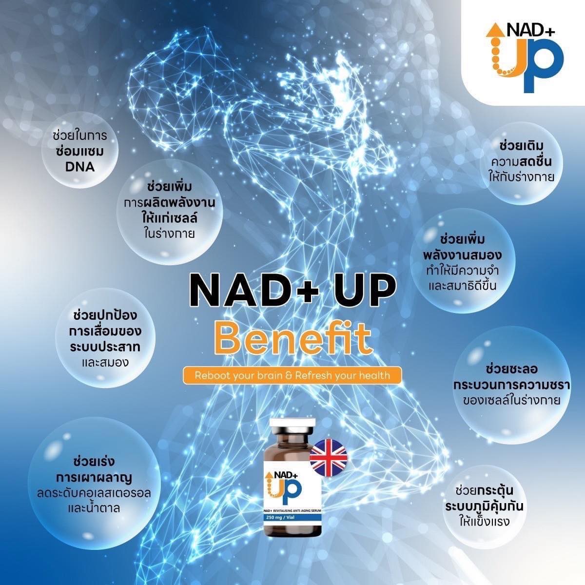 NAD+ UP สูตร Premium ชะลอวัย