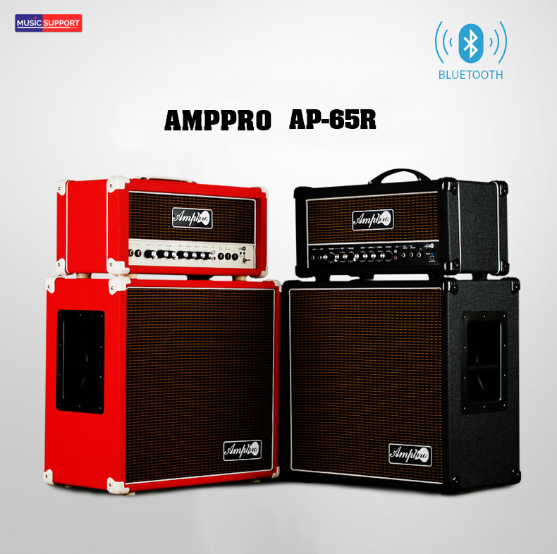 แอมป์กีตาร์ไฟฟ้า Amppro AP-65R