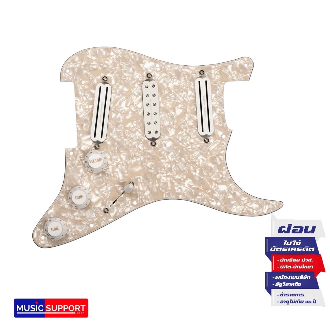 Seymour Duncan Dave Murray Set