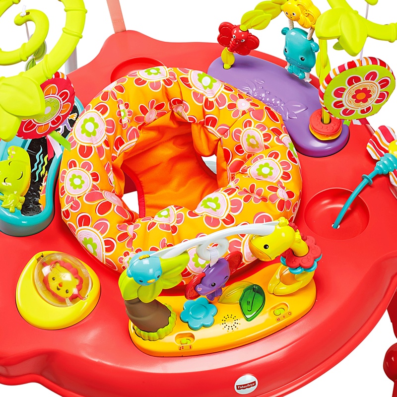 Fisher Price Pink Petals Jumperoo จั๊มเปอร์ของเล่นกระโดด *** กล่องไม่สวย ***