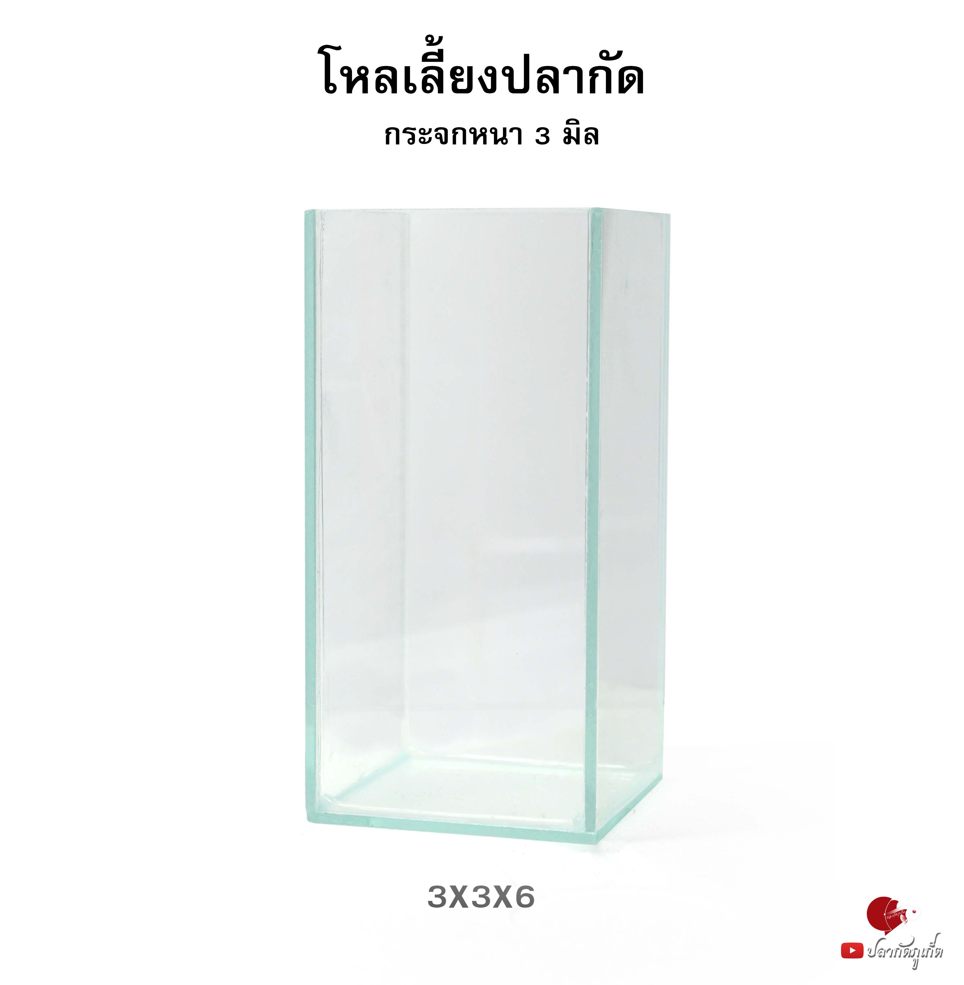 โหลปลากัด 3x3x6 นิ้ว