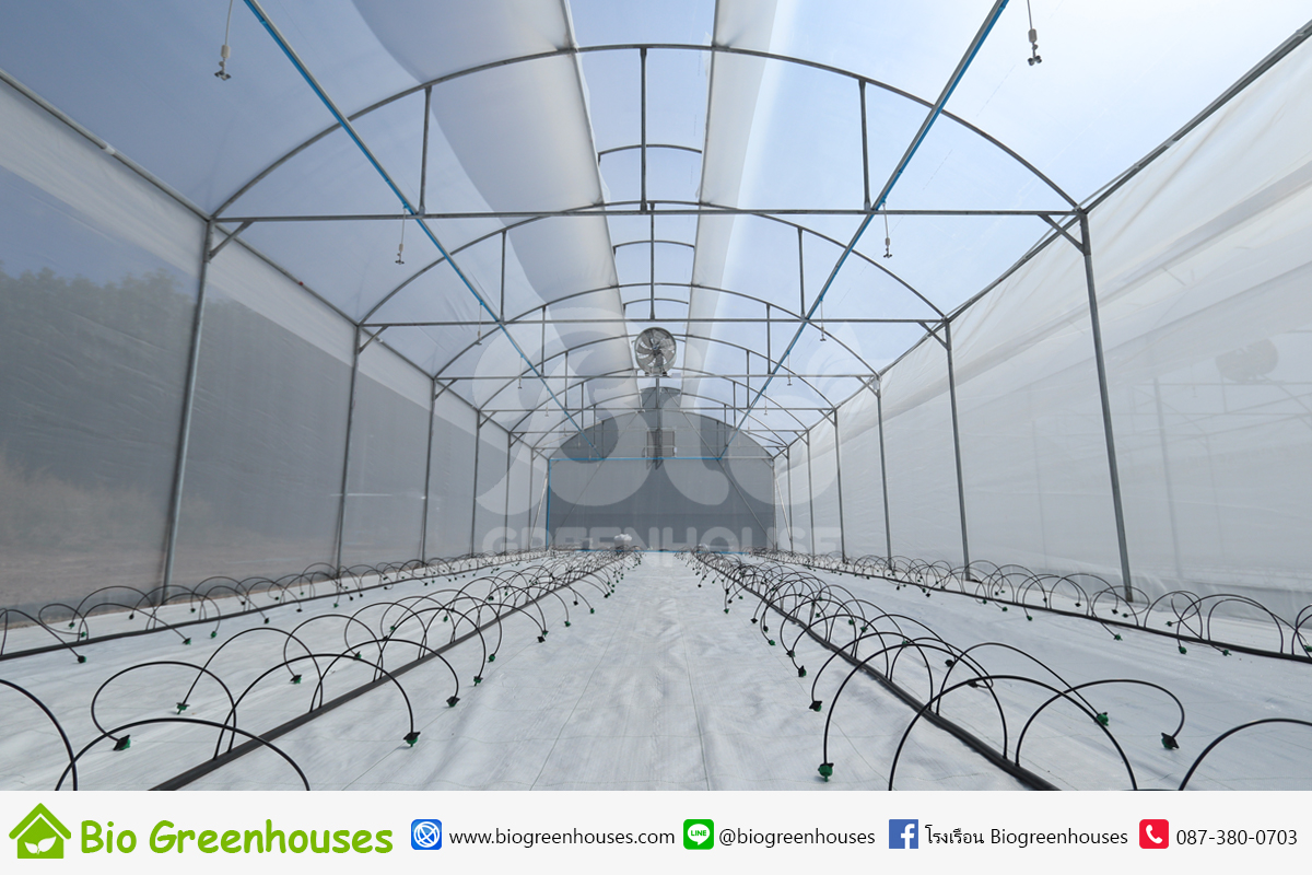 ระบบSmartFarm ระบบน้ำหยด ระบบพ่นหมอก พัดลมระบายอากาศ จ.ฉะเชิงเทรา