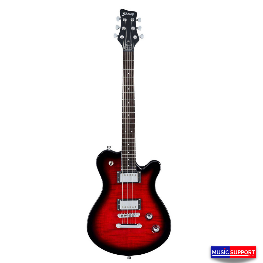 FRAMUS D-SERIES / PANTHERA SUPREME