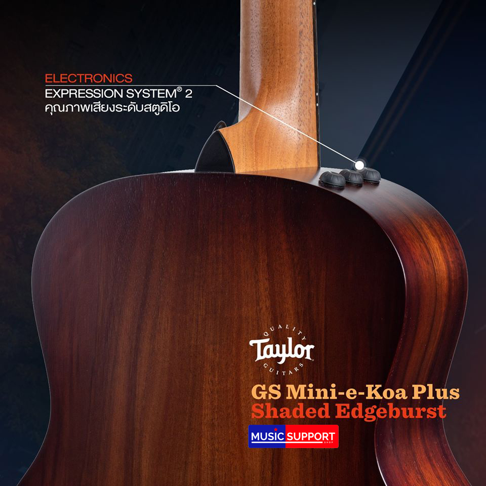 TAYLOR GS MINI-E KOA PLUS/AEROCASE