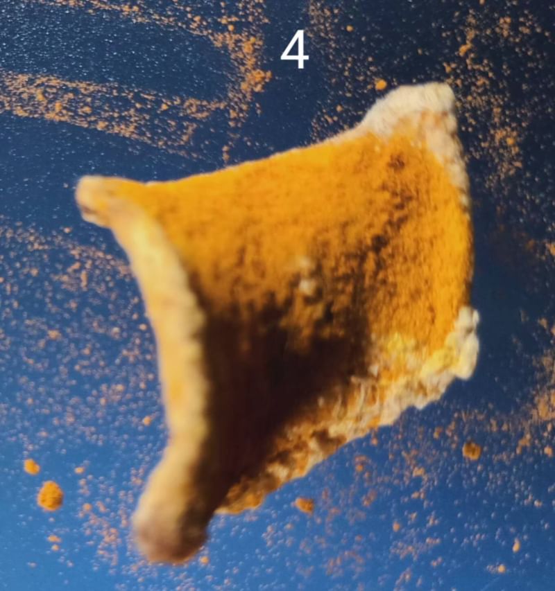 รกแมว เครื่องรางของขลังจากธรรมชาติ